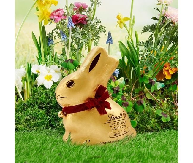 Giant Gold Lindt Chocolate Bunny 500g Milk Easter Gift