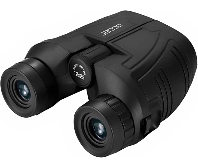 Compact 12x Binoculars