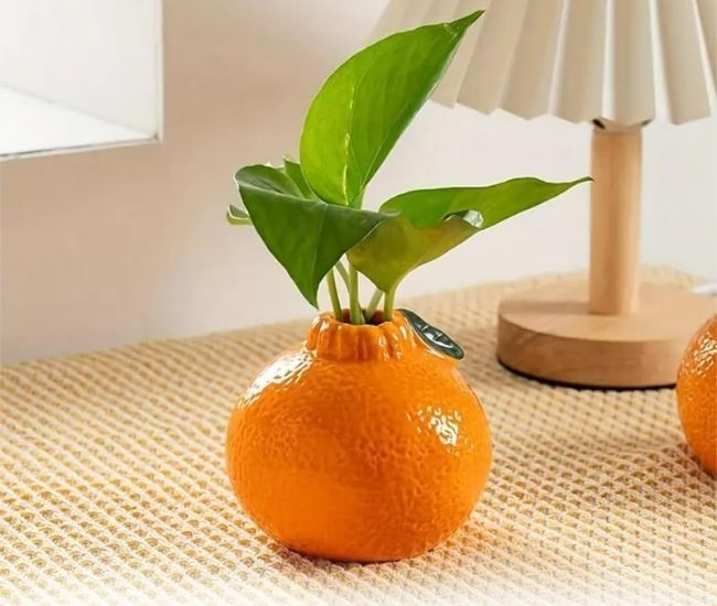 Orange Vase Set